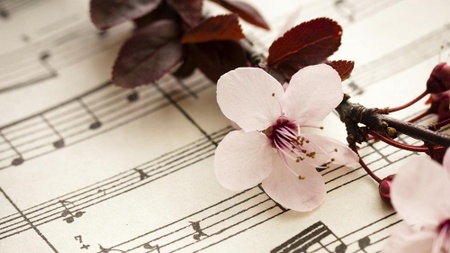 Kammerkonzert der Orchesterakademie