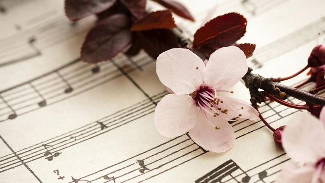 Kammerkonzert der Orchesterakademie