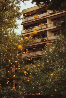 Wo sind denn alle? – Matinée