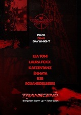 ElectronicLiebe: Transcend Flinta