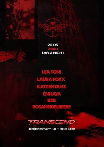 ElectronicLiebe: Transcend Flinta
