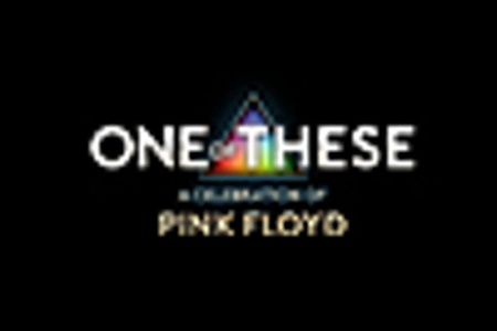 ONE OF THESE - a celebration of Pink Floyd - Animals Tour