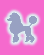 Intimacy Quarterly Playground