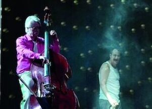 Der Kontrabass