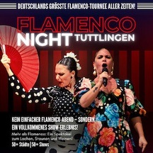 Flamenco Night