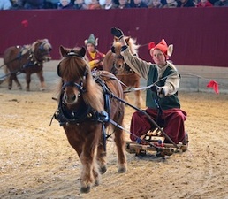 Neustädter Weihnachtsgala 2026