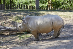 Theaterreihe des Volksbildungsrings Bad Arolsen 2025/2026
