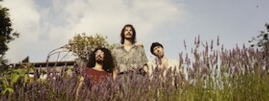 THOMAS GREENWOOD AND THE TALISMANS