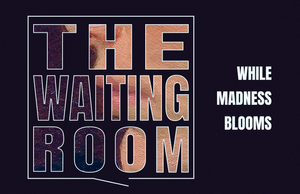 THE WAITING ROOM
