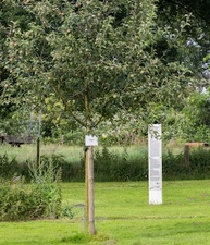 Stadtführung: Streuobstwiese