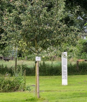 Stadtführung: Streuobstwiese