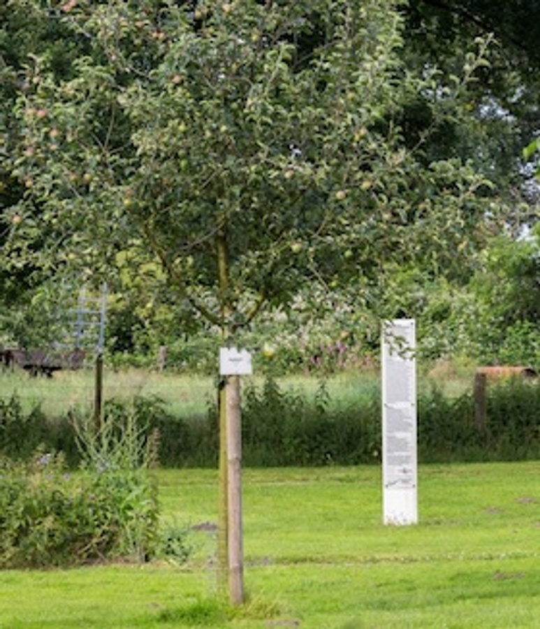 Stadtführung: Streuobstwiese