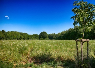 So klingt der Sommer