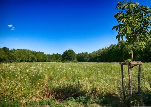 So klingt der Sommer