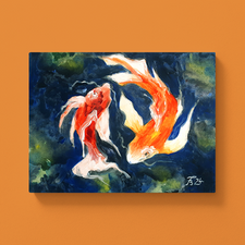 Koi