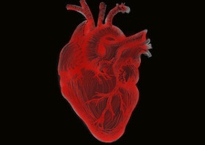 Eine mögliche Welt   WORK IN PROGRESS