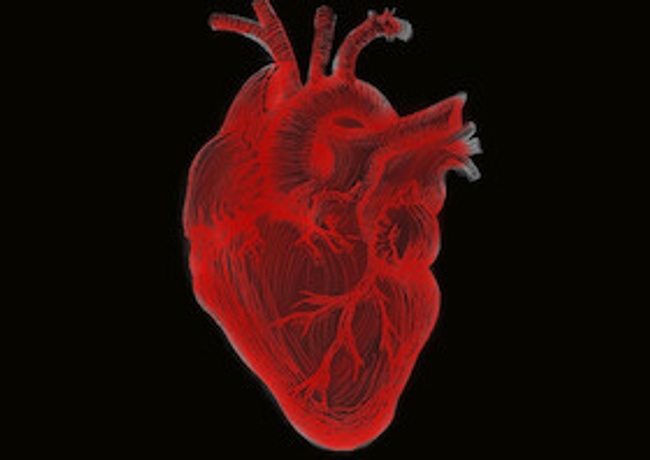 Eine mögliche Welt   WORK IN PROGRESS