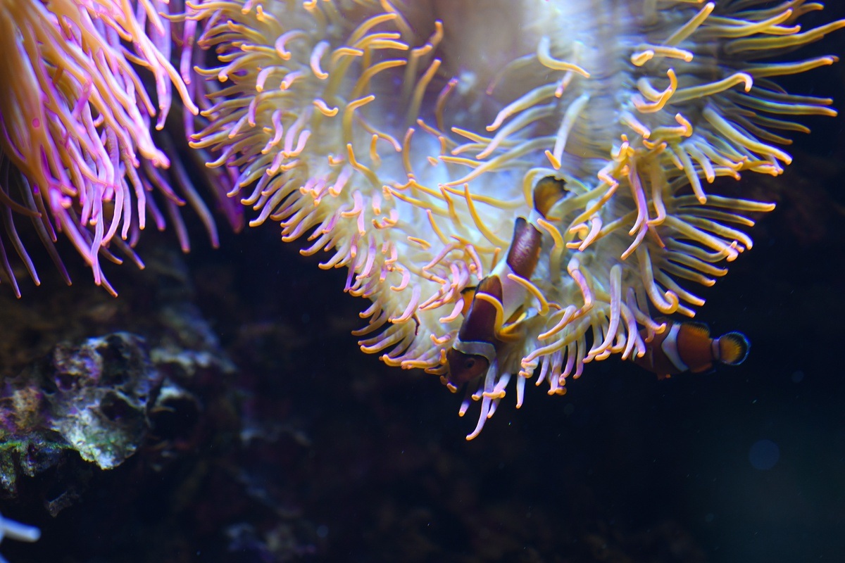 Titelbild der Veranstaltung POOL – MOVEMENT ART FILM Festival Berlin