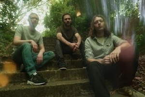 Mammal Hands | Dieter Ilg & Band