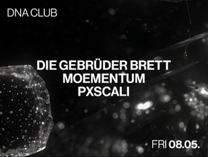 DIE GEBRÜDER BRETT, MOEMENTUM,B2B PXSCALI