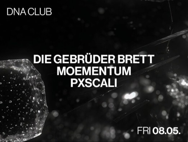 DIE GEBRÜDER BRETT, MOEMENTUM,B2B PXSCALI