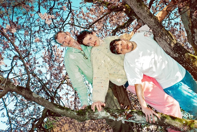 50 JAHRE KNUST: LÖWENZAHNHONIG