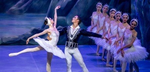Schwanensee - Royal Classical Ballet