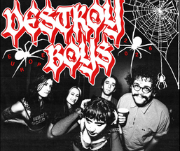 DESTROY BOYS