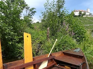 Kleine Weinkunde - große Genussfahrt