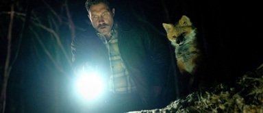 The Fox (FFF26)