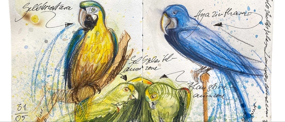 Tiere zeichnen & aquarellieren