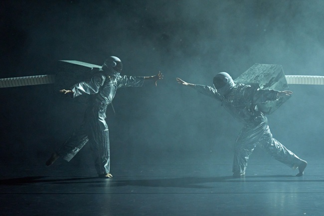 Chicxulub oder Der Floh des Teufels