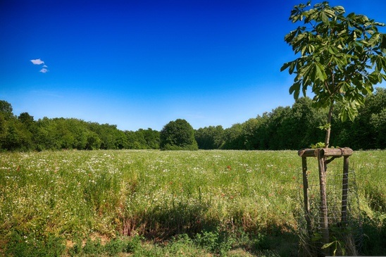 So klingt der Sommer