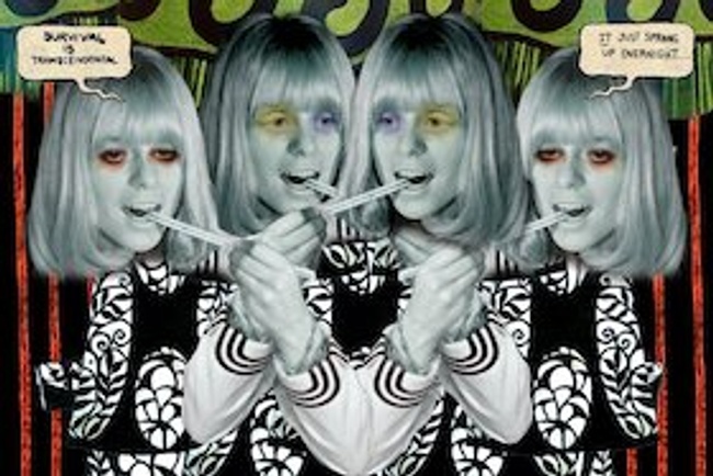 Roses Rising – The Dinner