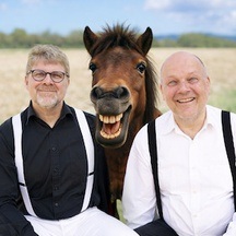 Das Leben ist kein Ponyschlecken!