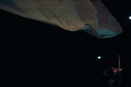 Pooyesh Frozandeh: Saving Flowers