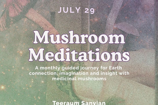 Mushroom Meditations: A guided journey for Earth connection and imagination