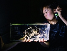 Fachtag: Aesthetics of Access im Figurentheater