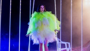 Bookpink: New Arrivals