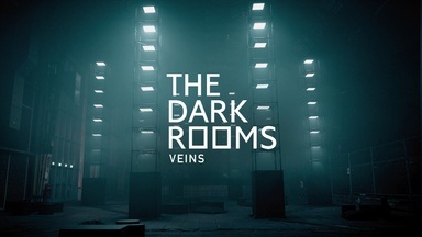 THE DARK ROOMS VEINS