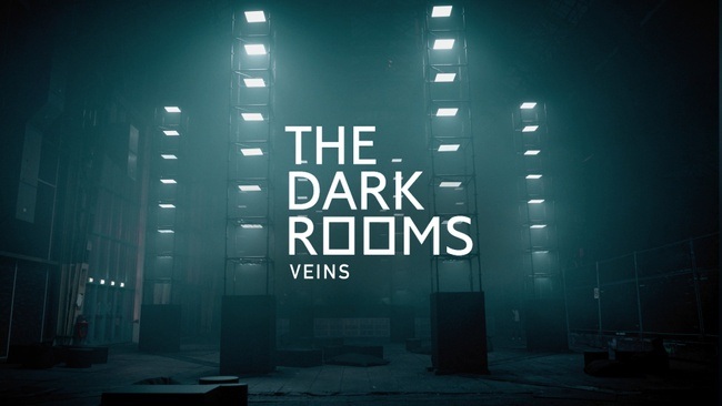 THE DARK ROOMS VEINS