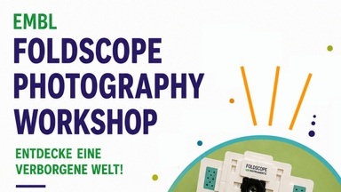 Foldscope Photography Workshop (Familienworkshop) | 8 - 12 Jahren