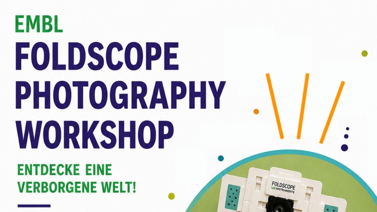 Foldscope Photography Workshop (Familienworkshop) | 8 - 12 Jahren