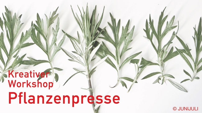 Kreativer Workshop Pflanzenpresse bei JUNIJULI