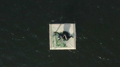 Wo Kolibris schwimmen - Leben und Tod an der Ostseegrenze der DDR