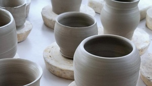 Von der Schale zur Bowl
