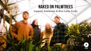 Naked on Palmtrees / Palebloom / Blue Collar Punks