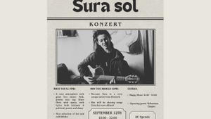 Konzert_Sura Sol