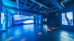 P61 Gallery // Reflected Radio Live