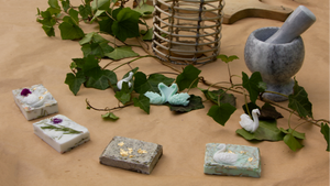 Naturseifen-Workshop im Schlosspalais N°1 Garten